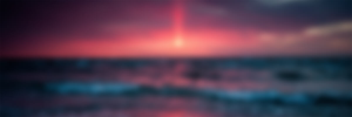 幻灯片-野猫资源网